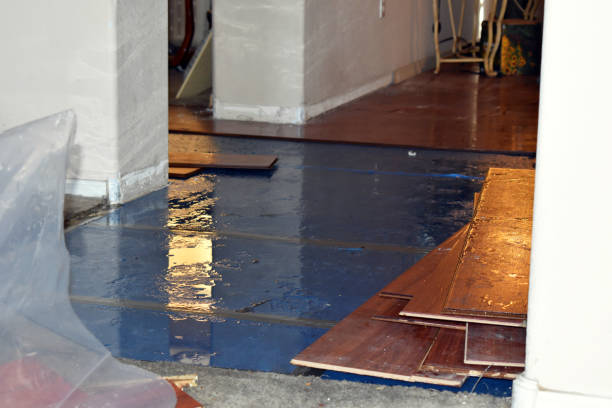 Professional Basement Flood Cleanup technician working in Davenport, CA
